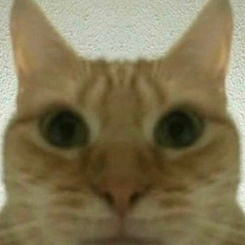 Meet your Posher, Kat